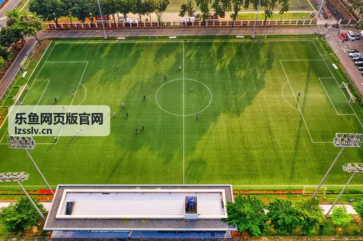 乐鱼网页版官网注册登录与账号安全设置指南