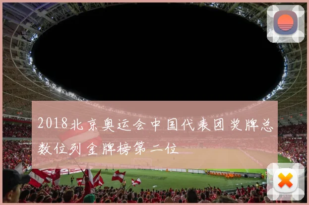 2018北京奥运会中国代表团奖牌总数位列金牌榜第二位