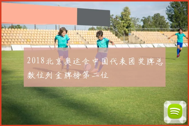 2018北京奥运会中国代表团奖牌总数位列金牌榜第二位